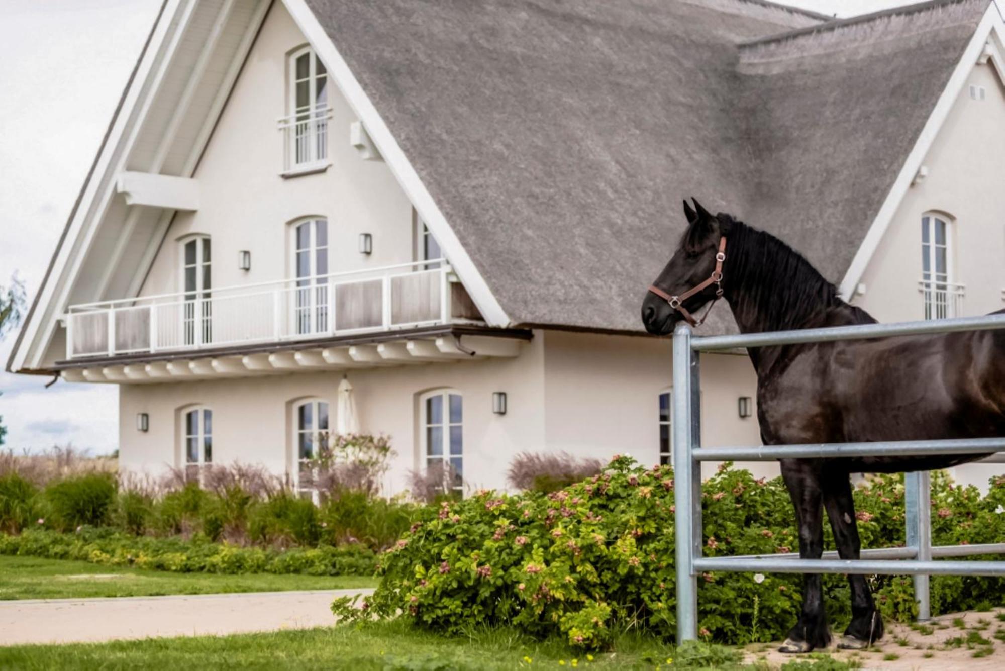 Lerchenhof In Reestow Lejlighed Eksteriør billede
